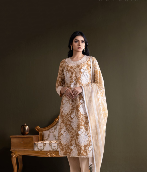 Premium Women Cotton Dress